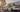 Super Street Coverage: Art of Attack One Make Series - NSX/S2000